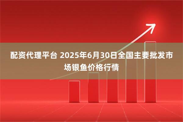 配资代理平台 2025年6月30日全国主要批发市场银鱼价格行情