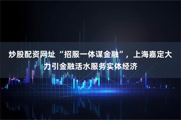 炒股配资网址 “招服一体谋金融”，上海嘉定大力引金融活水服务实体经济