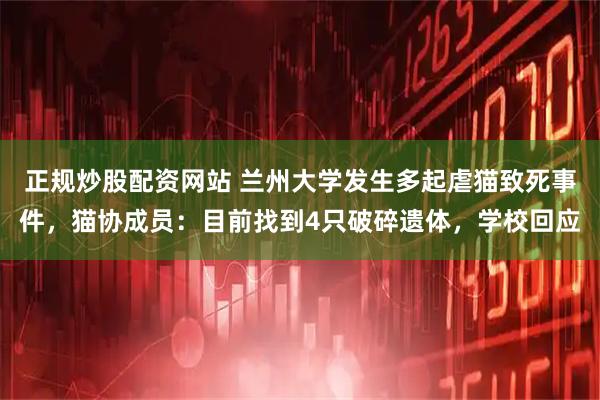 正规炒股配资网站 兰州大学发生多起虐猫致死事件，猫协成员：目前找到4只破碎遗体，学校回应